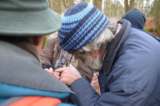 2011 12 A la découverte des lichens 03